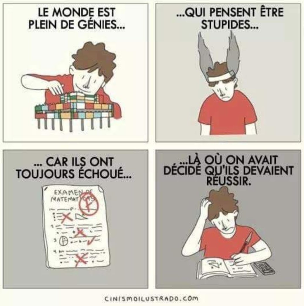 L’ #intelligence n’a rien à voir avec les #notes, les #diplômes ou la #reussitescolaire !
#education #enseignement #apprentissage #confiance