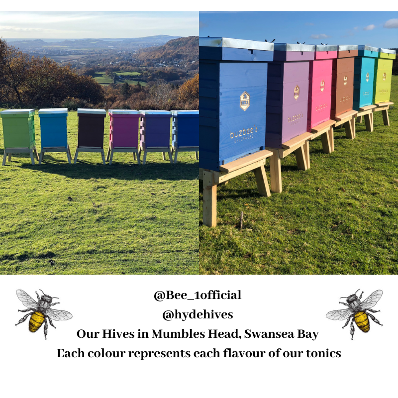 BuzbeesTonics's tweet photo. ๐ Bee Hives ๐
All of us at Buzbees hope you are having a wonderful week as the January Blues draws to an end ๐
Our Hives in Mumbles Head, Swansea Bay!
Each colour represents each flavour of our tonics
#January #blues #hive #bee #beekeeper #beekeeperlife #buzbees #bee1 https://t.co/1edGfdR7ks