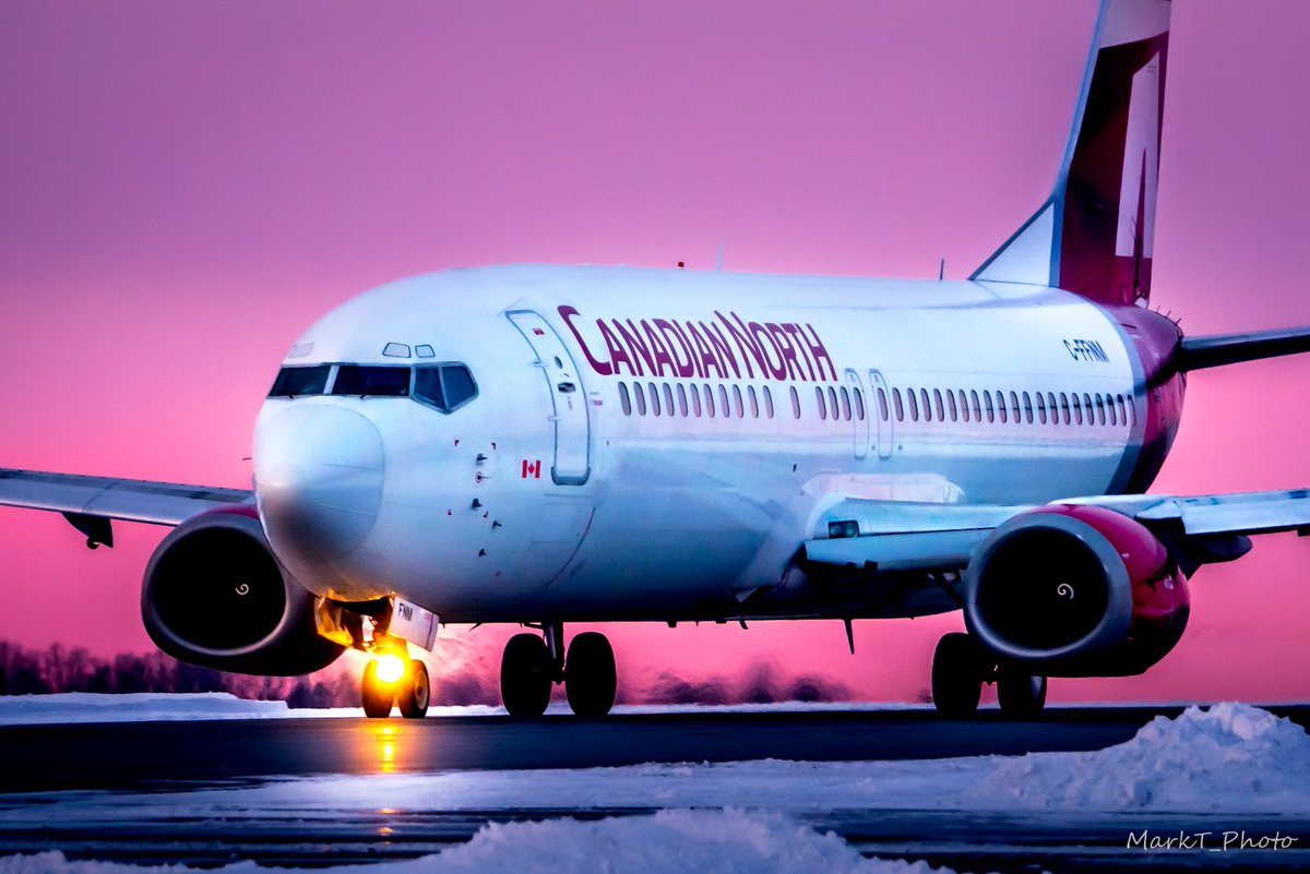 Mark Taylor tweet media