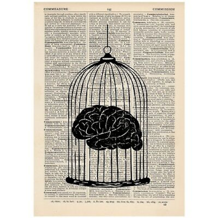 terapiamanualUE's tweet photo. #BlogTMO “Cuanto menos se lee, más daño hace lo que se lee” Resumen de los mejores libros de Neurociencia del 2019
Si quereis leer sobre neurociencia metete en este enlace: 👇🏼👇🏼
https://t.co/6pToZrZe1E
@terapiamanualUE https://t.co/EMCejpd8RY