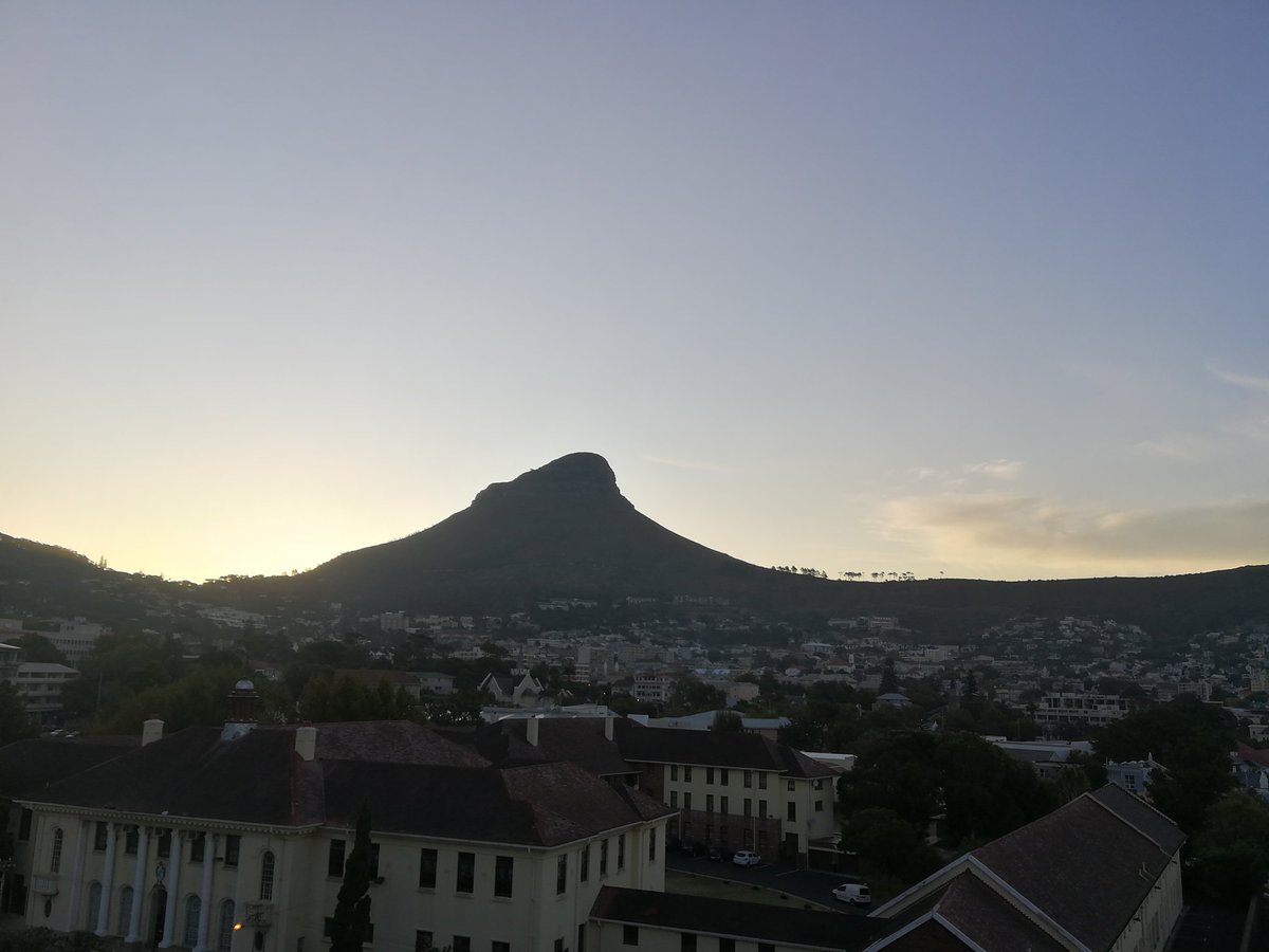 #ButterflyFOMO #ButterflyMigration #Butterflies in Jo'burg