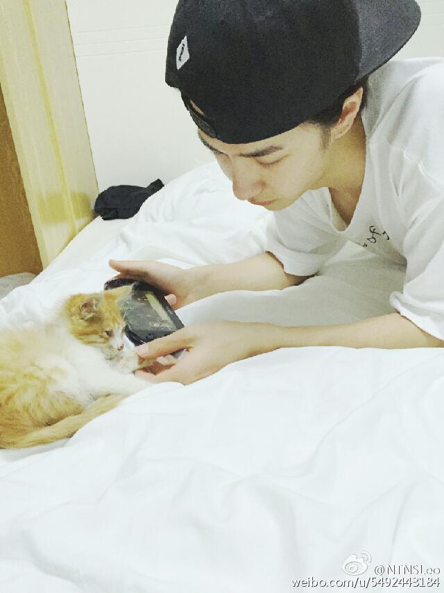 He picked up the kittens he encountered while filming. Name them Xiao Shuo Yu. Also posted on Weibo: "Let's play together!" Finally the cat mother came. When he left the crew, he asked the staff of the crew to return the cat to his mother and said, "Go back to your mother!"