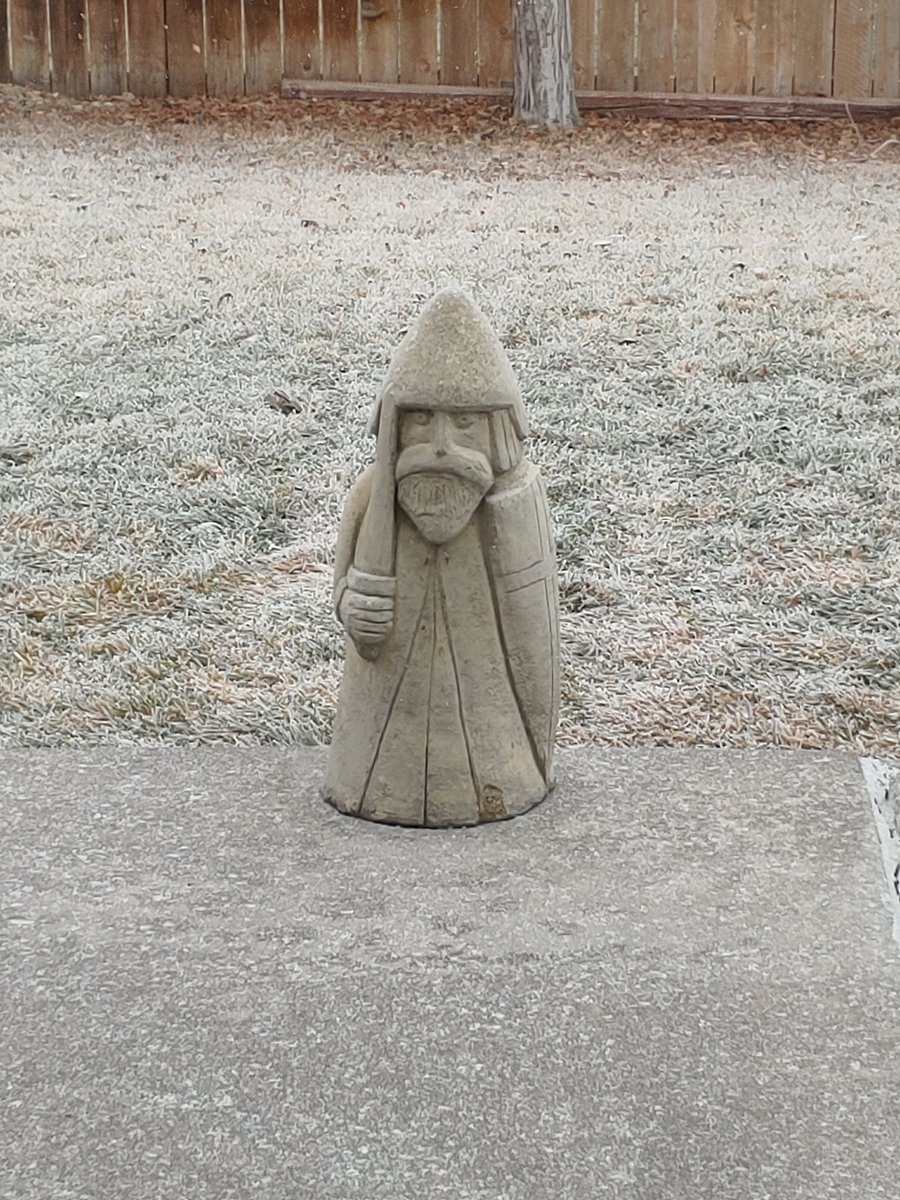 mcfall_claire's tweet photo. My chessman has decided CO is too cold and he wants to come inside.
I swear he wasnt looking at me like this yesterday. I'm having #DrWho #stoneangels flashbacks 😂 https://t.co/65zBrTOlUq