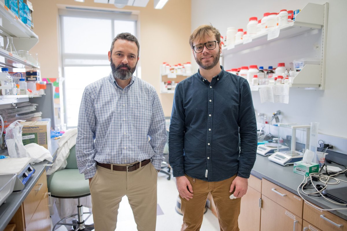 Javier González-Maeso, Ph.D., and Mario de la Fuente Revenga, Ph.D., pictured standing in a laboratory.