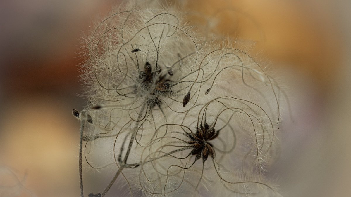 Drinksfusion tweet media