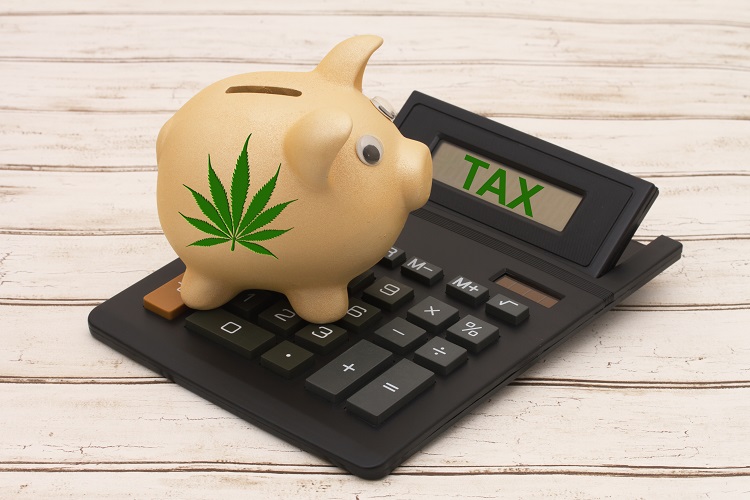 ASRAnalytics's tweet photo. Marijuana Tax Compliance Issues? RevHub Marijuana Manager is here to “Ease the Pain."

Read more: https://t.co/M3ARtCWMLG

#MarijuanaTax #TaxCompliance #MarijuanaNews https://t.co/F6WxKlvOO2