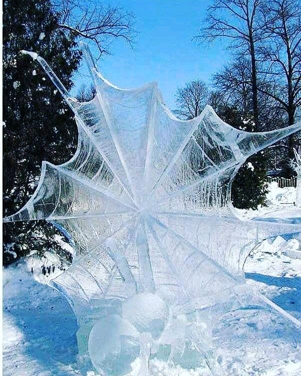 KristelAnnie's tweet photo. Pris dans la toile... de glace.
Bonne soirée à toutes et tous à l'occasion de ce #jeudiphoto
#bonnesoiree #bellesoiree #glace #ice #neige #snow #hiver #winter #araignee #spider #toiledaraignee #spiderweb #photo #photography #photographie https://t.co/GEg52hoJdB
