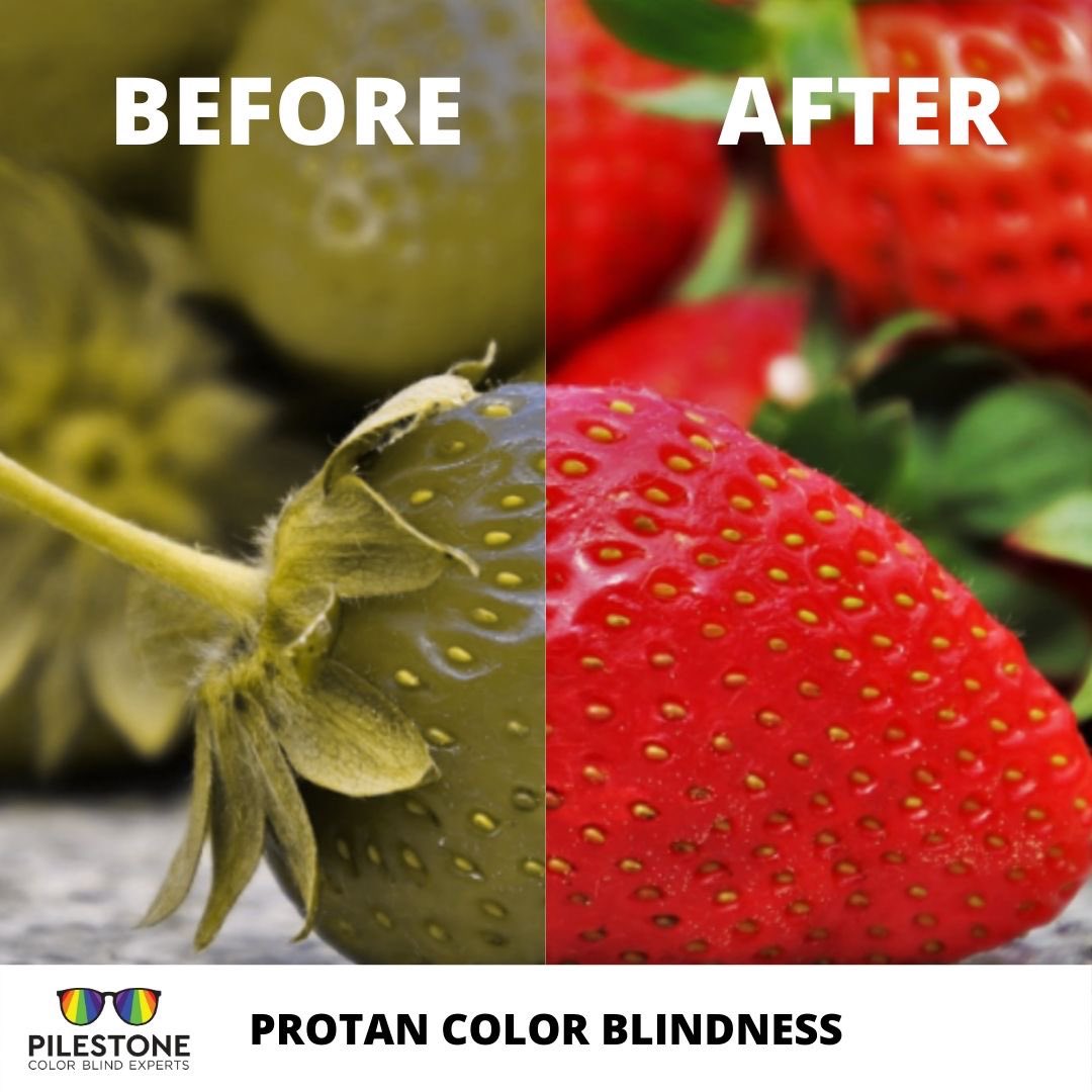 Pilestone_'s tweet photo. Look at how the #colorblind see #strawberries through different types of color vision deficiency including #deutan #Protan and #tritan
•
•
•
#pilestone #awardwinning glasses can dramatically improve ones #colorvision with #colorblindglasses glasses https://t.co/13YXJl6tVa