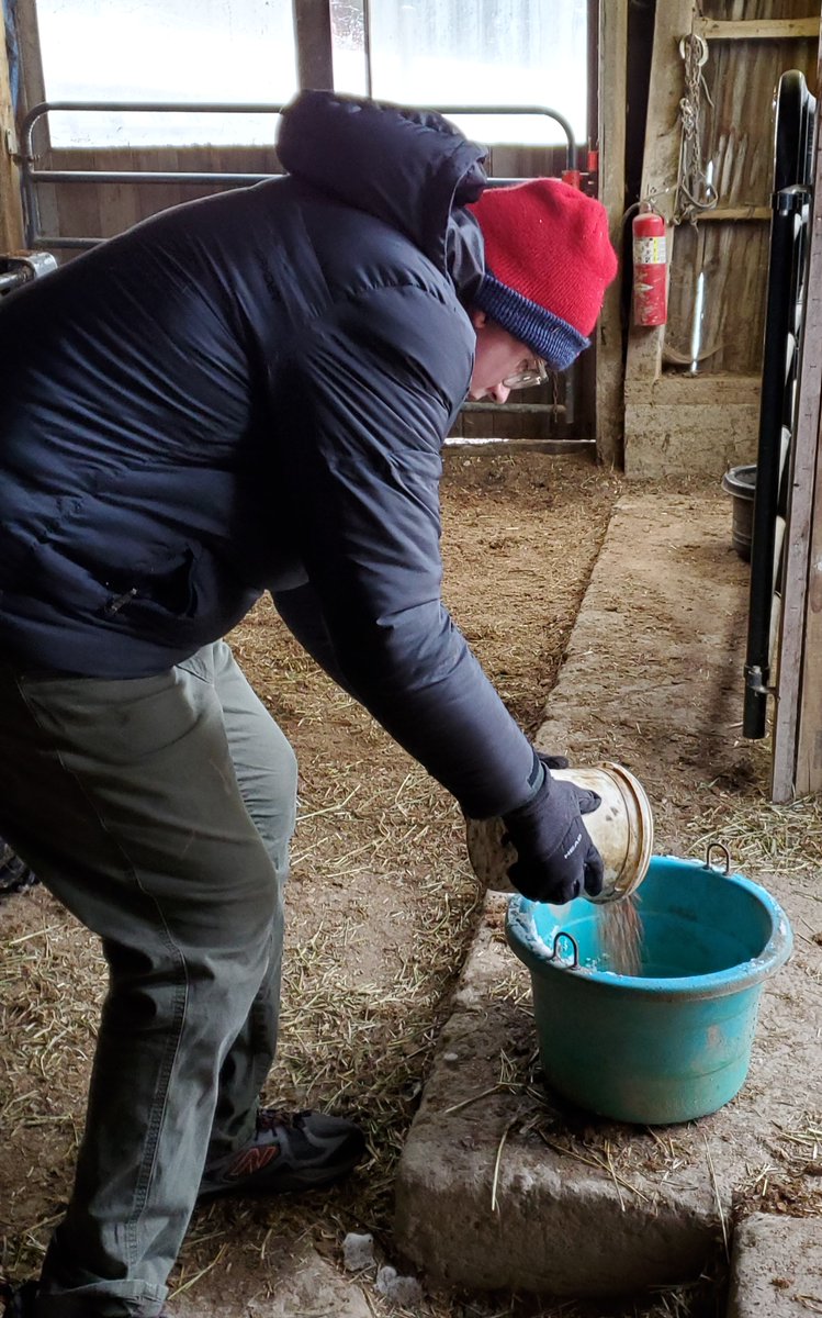 PHOTO: Sean filling the goat feed buckets at Rising Rivers Farm.