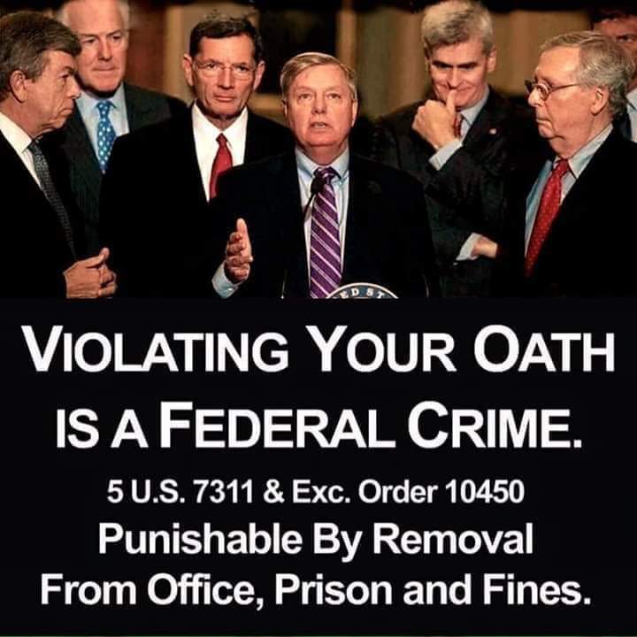 JBzenchild's tweet photo. @LindseyGrahamSC your so deep up donnys ass...and you know how deep that shit is...
#LevParnas #LevRemembers #IndictmentsToCome #AmericansWantWitnesses #CriminalEnterprise https://t.co/UalTSAUcKT