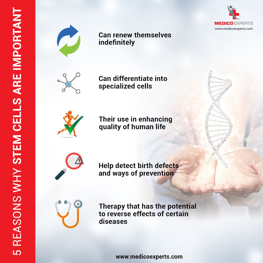 5 Reasons why Stem cells are Important
To know more visit:
#autismtreatment : medicoexperts.com/autism
#cerebralpalsy : medicoexperts.com/cerebral-palsy
#stemcelltherapy : medicoexperts.com/stem-cell
For inquiry Call/ WhatsApp: +919769516280