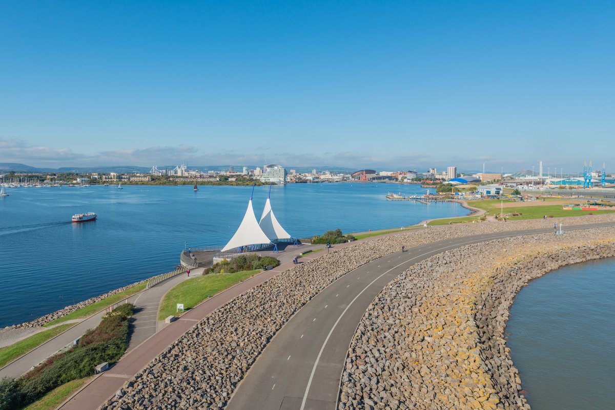 Cardifftweeter™ - CCFC 125 Years 💙🐦 tweet media