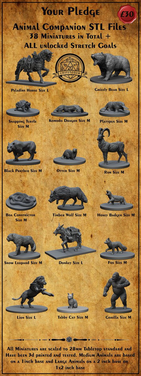 Pathfinder Animal Companion - Animal Companion Dungeon Master