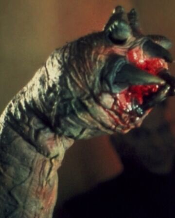 worm Ladywolfmans girlfriend, force sensitive and rebellion member in both canon and legends. i havent read the kylo ren comics so maybe this is already contrary to canon but i like to imagine shes became one of lukes students