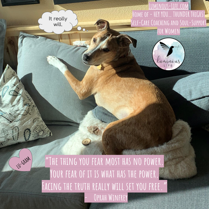 LuminousLifeInc's tweet photo. 💙 LU-GRAM! 🐶
➡ https://t.co/tZUmY3eCrs (home of HEY YOU... THUNDER THiGHS!)
#HeyYouThunderThighs #luminouslifeinc #lifecoach #youareready #youbelonghere #youarenotalone #joyactivist #lulularoogram #lugram https://t.co/79iOZvhvVF