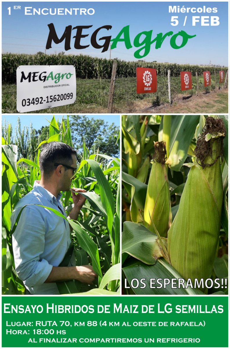 ADN_Rural's tweet photo. Los amigos de #MegAgro realizan una #jornada a campo la próxima semana para exhibir los #maíces de @LG_SEMILLAS!!! Compartimos toda la #info y nos vemos ahí 🌽👏 https://t.co/lJQn02b1ud