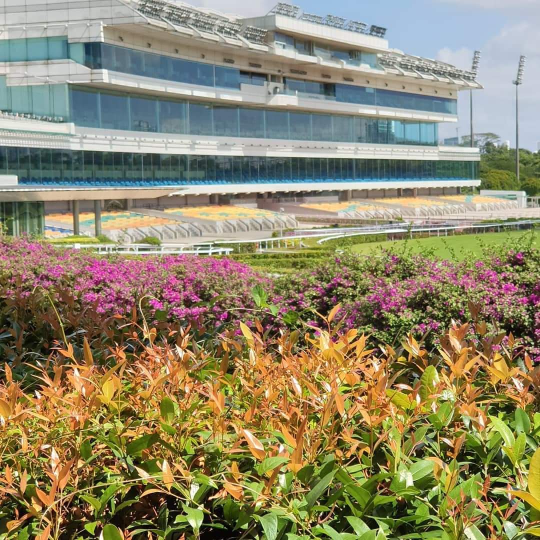 KranjiBroadcast's tweet photo. 📍TRACK TALK UNDER LIGHTS💡
Tune in for the latest episode of #TTUL
⭐Special Guest: @DKinninmont
We hear from Champion Jockey @VDuric77 about two of his rides🎙️
& @stevenburridge regarding #Ironclad 🔶🔷
As well as all the form & tips 🏇
#TTUL
👇👇
https://t.co/vg0rIIf106 https://t.co/jTSx4Q5jnb