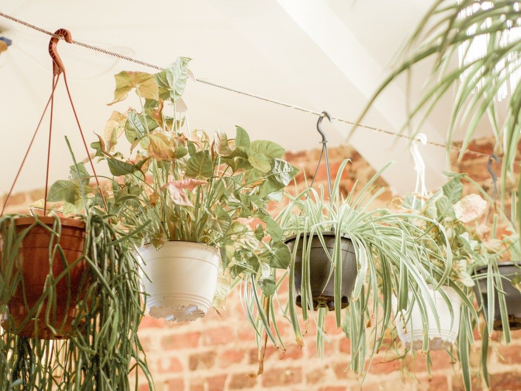 georgiexoxo's tweet photo. Welcome to one of the most Instagrammable cafes in London:
@PalmvaultsE8
Here's my review of this pastel pink dream >>>> https://t.co/sHrZUmHwv1 💗
#palmvaults #instagramcafe #hackney #london #londonvegan #pinkcafe #lbloggers https://t.co/XDQFhlQliY