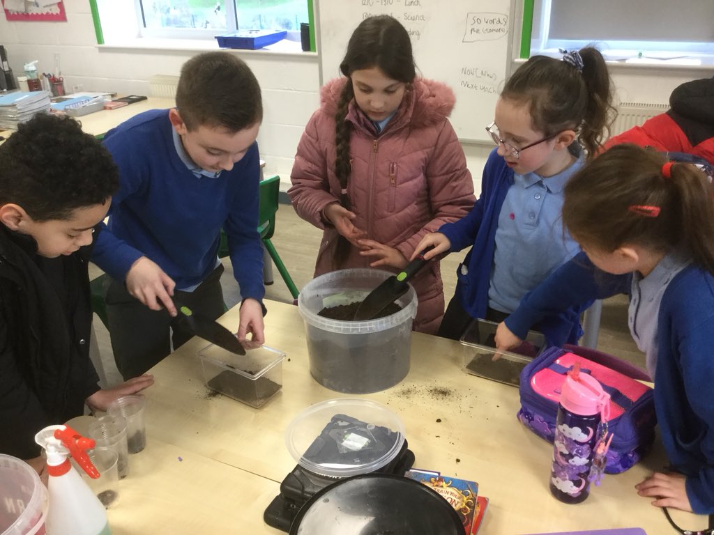 MrsSayersLSA tweet media