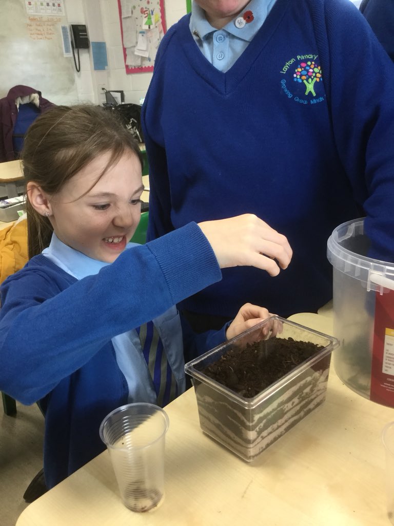 MrsSayersLSA tweet media