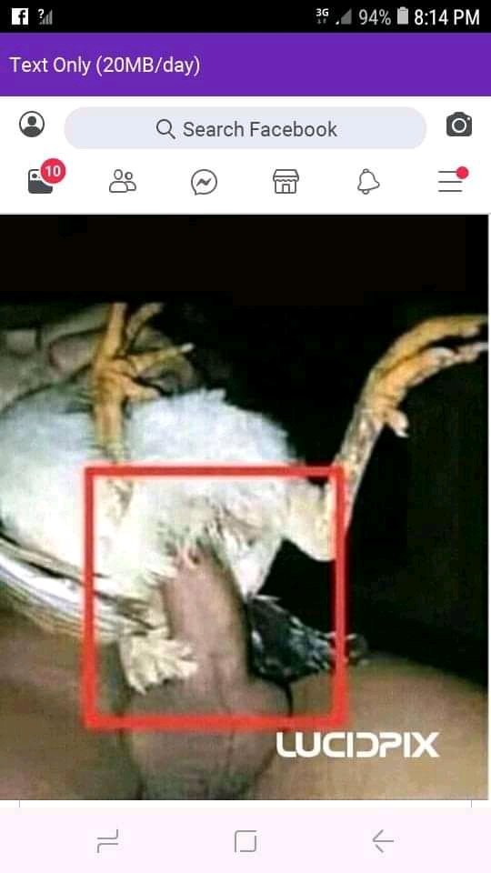 CaineJay's tweet photo. This is Fucked up braas like seriously https://t.co/nfwiNdnuRI