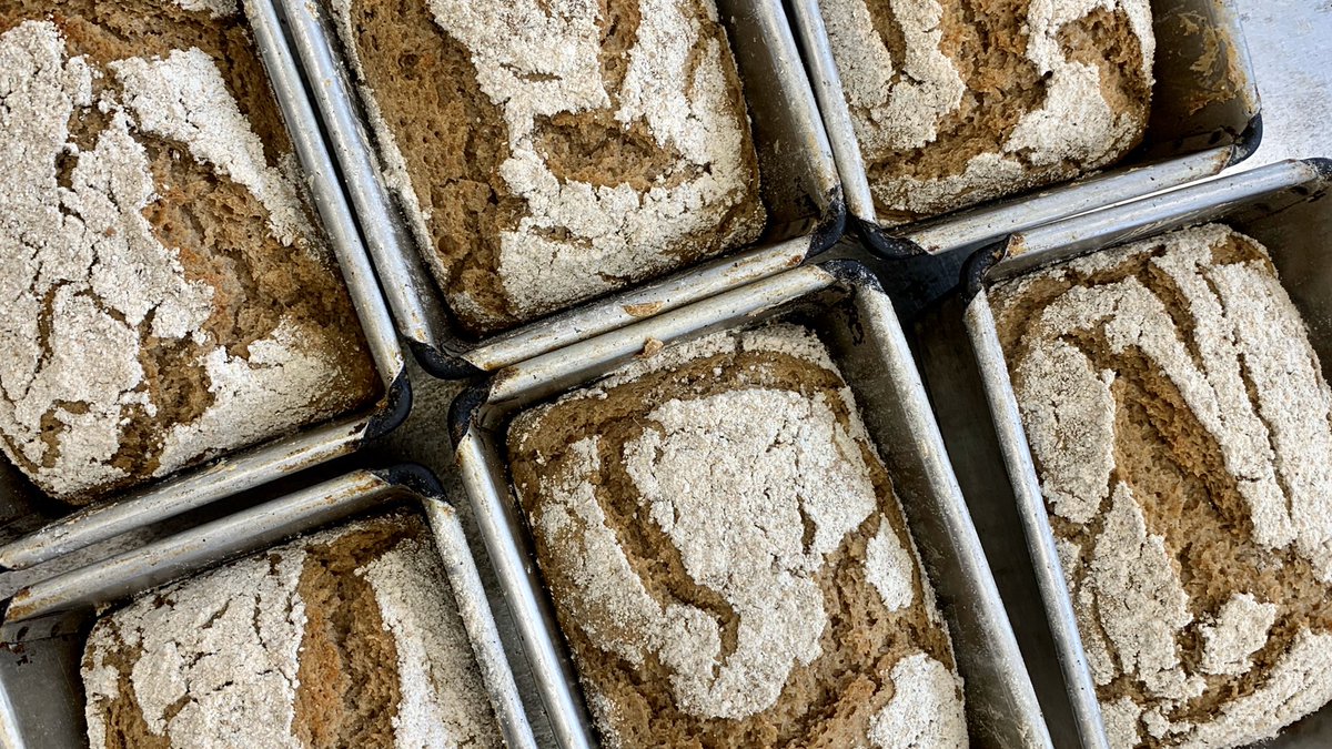 stonehambake's tweet photo. Great to have @TeamDomenica’s Callum in the Bakehouse this morning baking these brilliant Ruskin Rye. #removingbarrierstowork #socentbakers #nourishingthecommunity https://t.co/D8GxA7eyUd