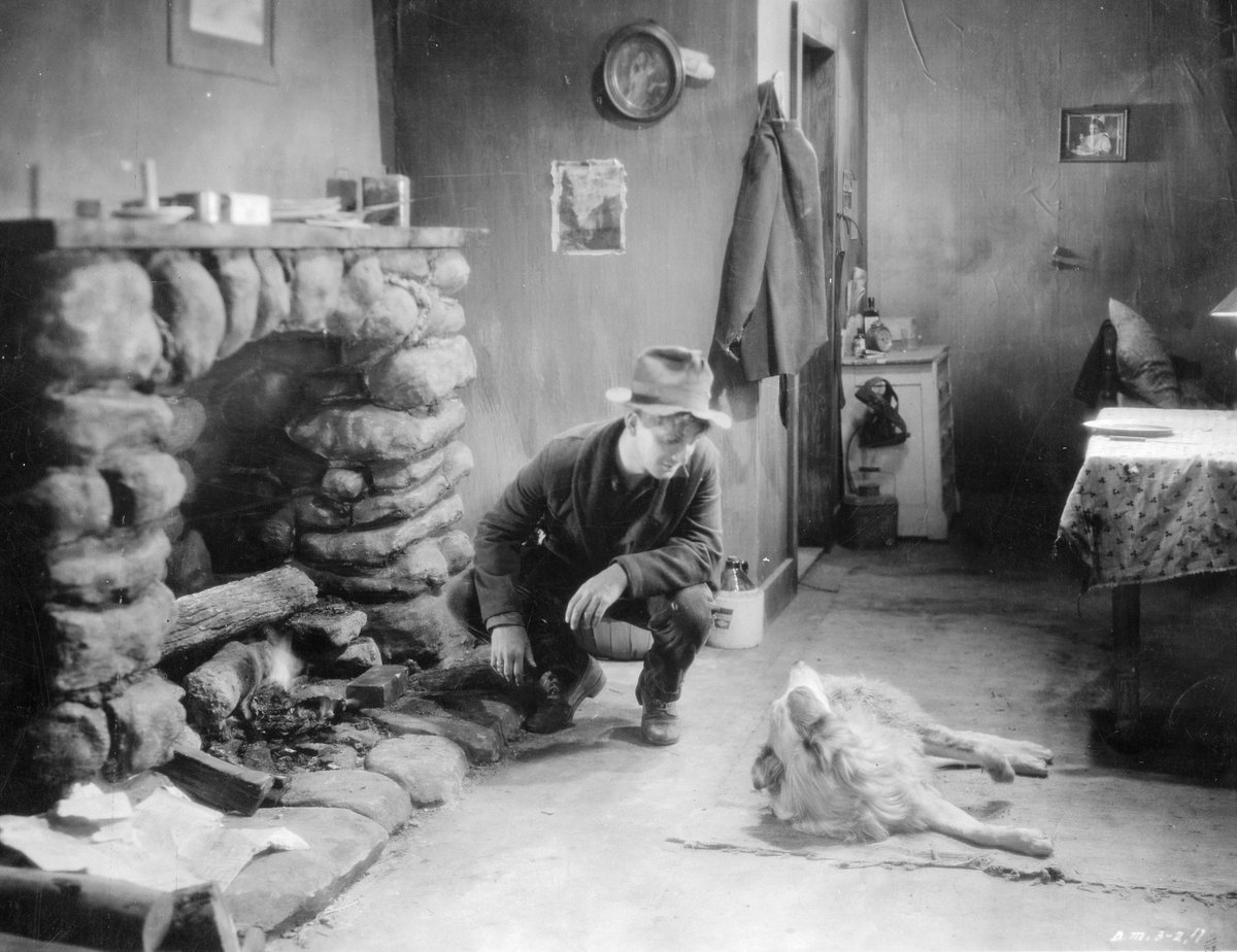Cinematekbe's tweet photo. 30.01
18:00: His Dog / 50' - Karl Brown🎹
19:00: #rebelfilms Born in Flames / 80' - Lizzie Borden
20:00: Films-satellites / 91' - Guy-Marc Hinant
21:30: #rebelfilms Bande de filles / 112' - Céline Sciamma https://t.co/U84nmaY3ti