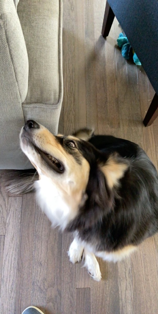 Mark Tareshawty tweet media