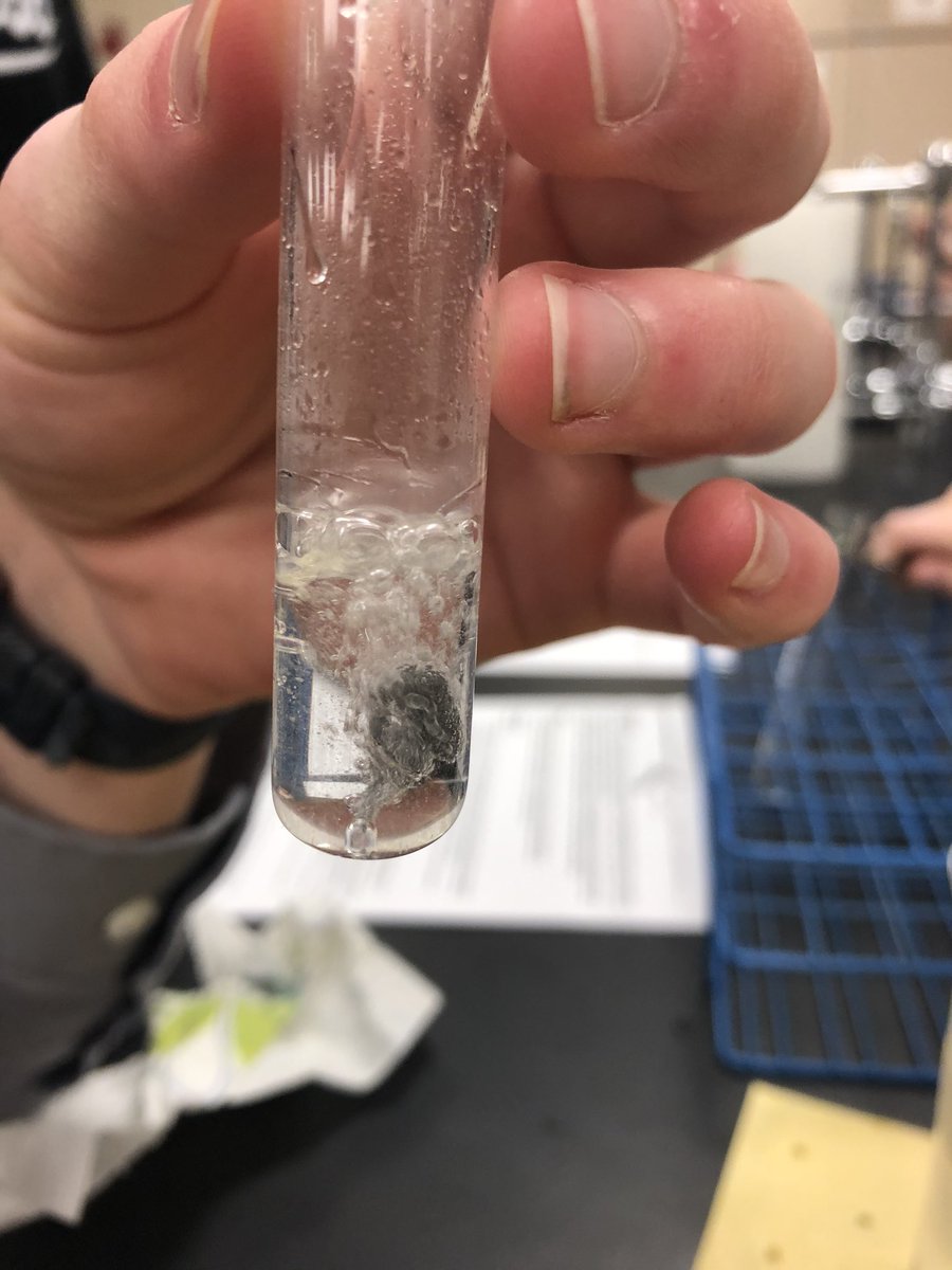 SQChem1's tweet photo. Zinc metal reacting with HCl to produce hydrogen gas #singlereplacement #activityseries #chem1 #stealyouranion https://t.co/N0ZgoNDvqW