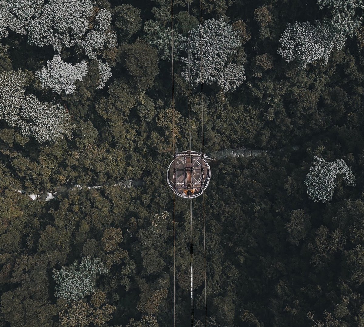 The canopy of the forest from a new perspective. A 12-minute ride above the canyon of the glacier water of the Molino river will be an outworld experience. #elnidodelcondor #visitcolombia. @MemoGomezFoto @PROCOLOMBIACO @GoberCaldas