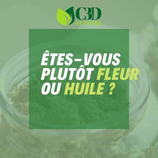 CbdAttitude's tweet photo. https://t.co/uF7cWNHdCq
 
 #cbdattitude #cbdfrance #cbd #cannabis #cbdoil #paris #cannabidiol #weed #terpène #thc #grossistecbdfrance #420 #fleurscbd #france #cbdgrossiste #bitcannafrance #misterweeds #grossistecbd #eliquidecbd #cbdfleurs #smoke #marijuana https://t.co/7xwJhgfNu8