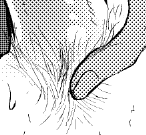 攻受感が顕著 