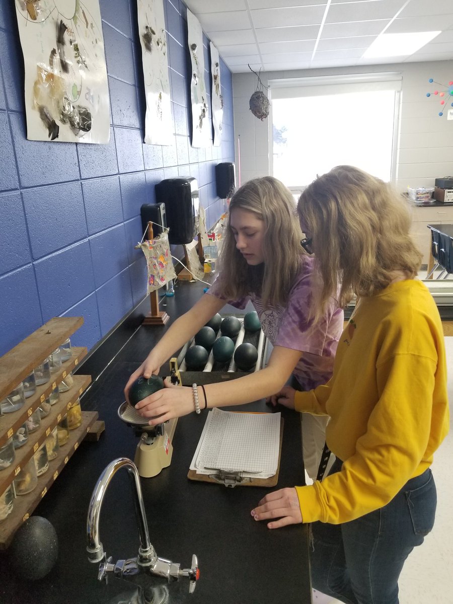 Week one with emu eggs is done. Grade 7 is keeping close watch.  #OzaukeeWarriors