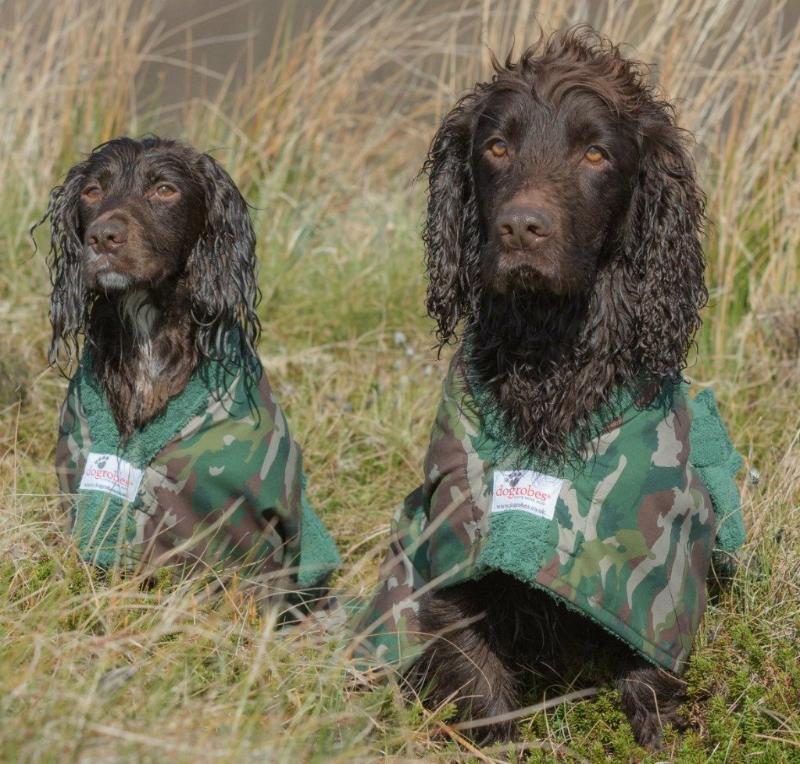 edinburghstorm's tweet photo. We’ve had the pleasure of working with @dogrobesuk  for many years. Our latest project for them was something a bit different – we created several #pattern  designs for use on their Dogrobes fabrics. (images courtesy of https://t.co/R0JM9FJmz1) #dogsoftwitter  #designer https://t.co/zrQxjkKCZQ