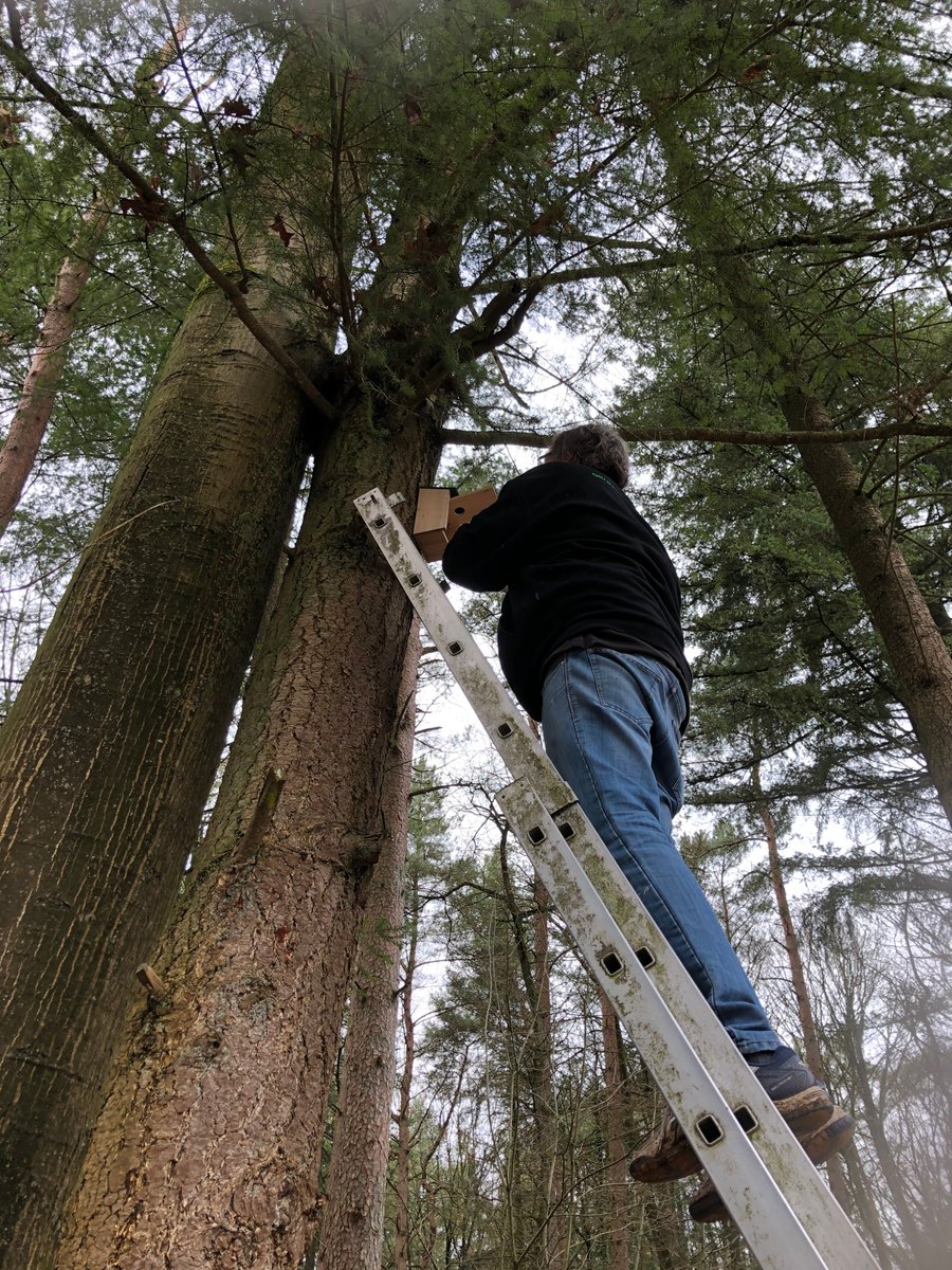 Ook aan de gasten op het terrein wordt gedacht! 20 nieuwe nestkastjes voor alle vogels die <a href="/dekwartjesberg/">De Kwartjesberg</a> graag bezoeken!