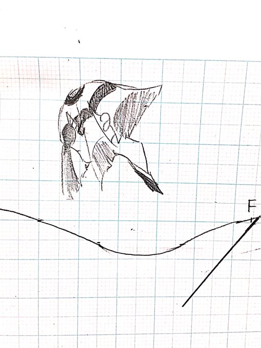 このくらいの長さのボルツも見たい…という幻想 