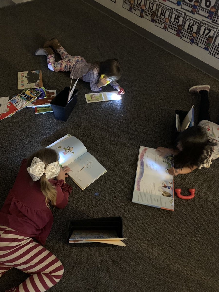 mrsbryantsbunch's tweet photo. What better way to spend a cold, dreary morning than reading some of our favorite books in the dark? #KinderRoos #whymme #whywisd #roosread https://t.co/5lsj4TW2p6