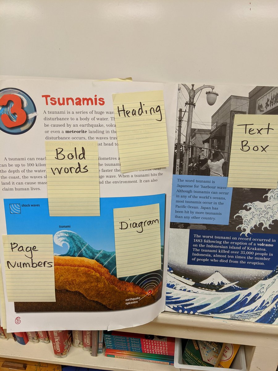 The Champs did a great job of matching non-fiction text features to our definitions. We have also been using an anchor text to identify these features as we read through the information together <a href="/NewDundeePublic/">New Dundee Public</a>
