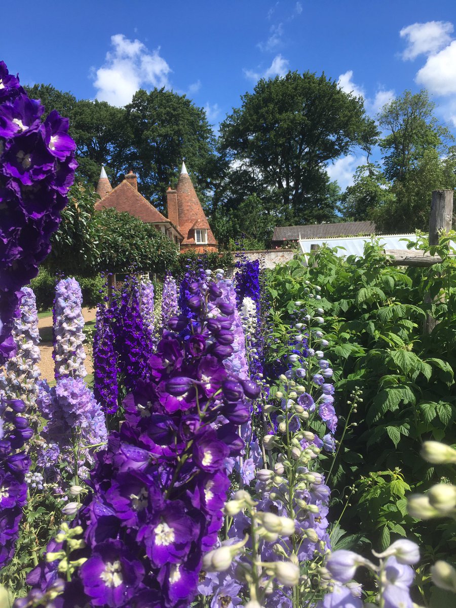 Godinton's tweet photo. Delighted to be supporting local charities during our annual Delphinium Festival in June @NGSOpenGardens @NGSKent @stjohnambulance @PilgrimsHospice https://t.co/XzfnnqKkxC