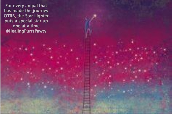 #HealingPurrsPawty Furr effurry anipal dat has made da journey...