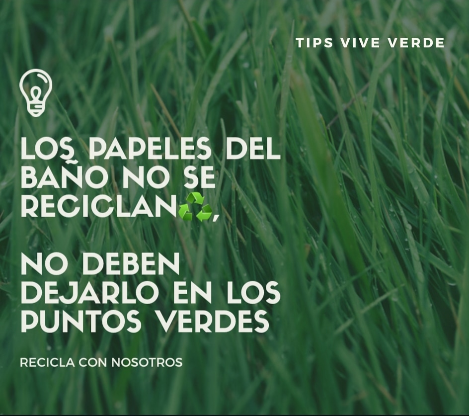 ViveVerdeppt's tweet photo. #sustentable #madera #sustentabilidad  #ecologico #planeta #repensar #natureza #calentamientoglobal  #tierra #vida #sostenibilidad #recicla #residuos #reuse #ecofriendly #r #reciclado #reduzir #reciclapapem #puntolimpio https://t.co/Q7enYMKuMS