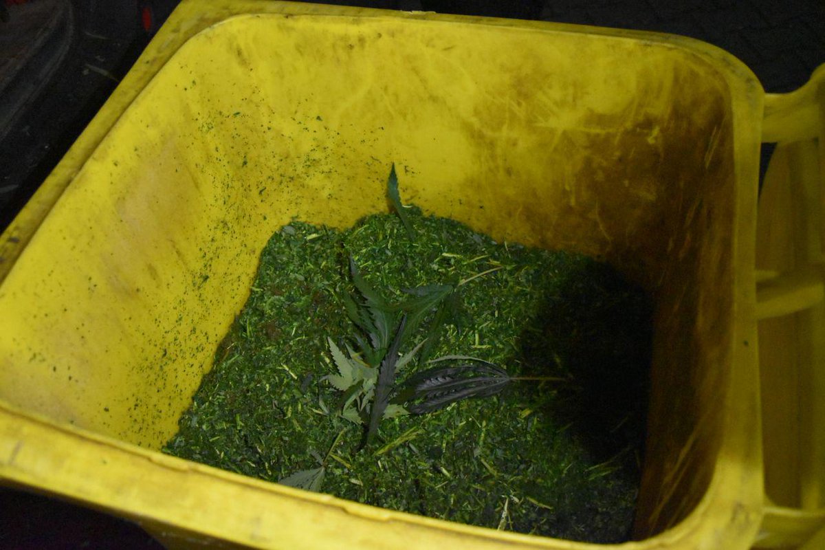 Politie ontdekt hennepkwekerij in Steenwijk na anonieme tip, twee aanhoudingen .