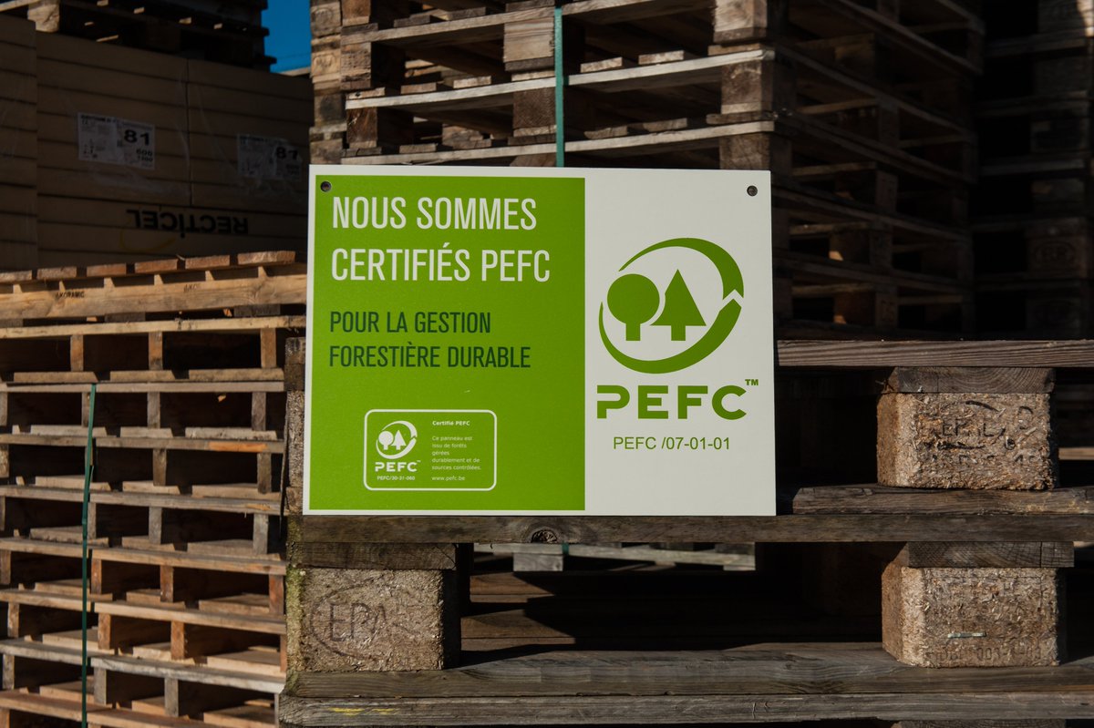 PEFCBelgium's tweet photo. Nous sommes heureux d’accueillir ABC Pack Solutions - sustainable and recyclable packaging - à Gand, parmi les entreprises certifiées #PEFC.
Félicitations pour l’obtention de votre certificat PEFC et #bienvenue!
Info: https://t.co/Ed0BKd5hfB
#CaringForOurForests #sustainability https://t.co/rfSndYPaGr