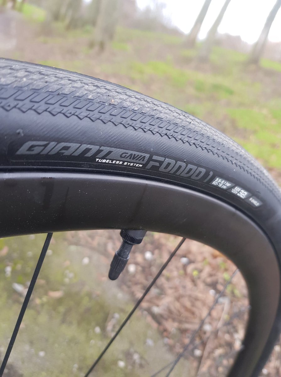 giant tubeless tyres