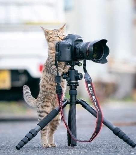 TheRealDesignSt's tweet photo. #RealDesignStudio #Photography #Photo #Fotografia https://t.co/FWcjO5Fiwo