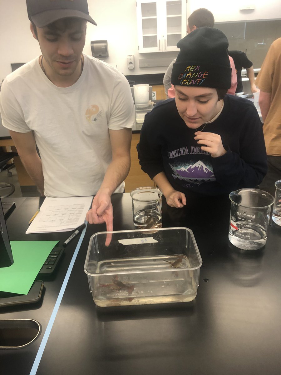 mcvasquez_'s tweet photo. Comparative Animal Physiology Lab determined the osmoregularory ability of crayfish exposed to different environmental salinities. We found that they are hyperosmoric regulators below 500 mOsm and isosmotic conformers from 500-800 mOsm. #lmuphysio @LoyolaMarymount @SeaverLMU https://t.co/TSmAdSLwOl