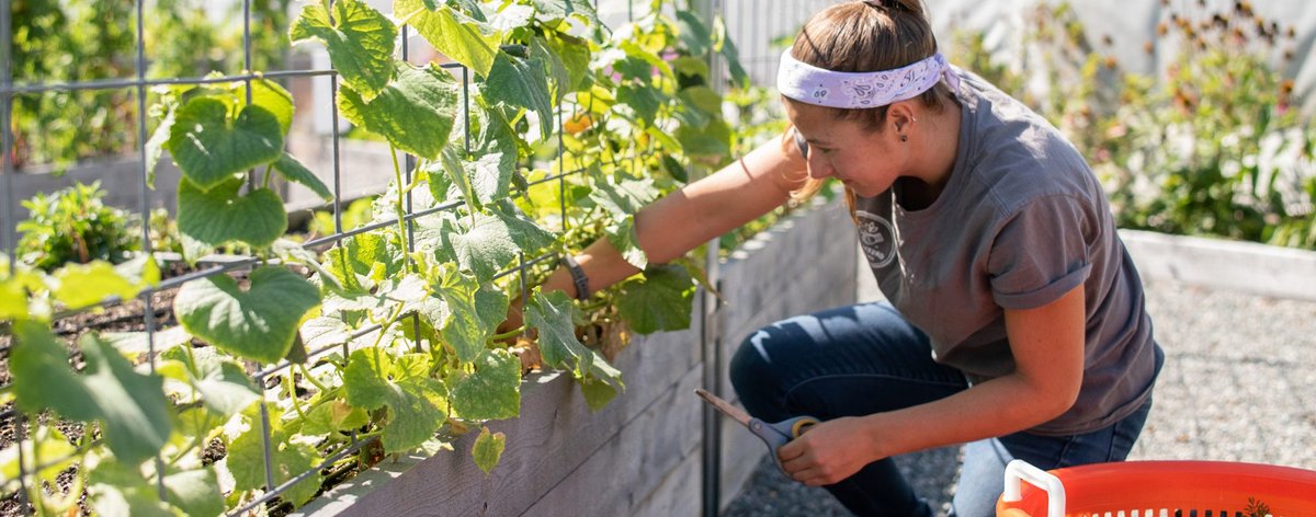 SignatureBOS's tweet photo. This week on the blog, we're talking about a recent green initiative started by @MassConvention and @CHEFBCEC at the BCEC to support the local community: 
https://t.co/fp6y8EJK8R

Photo by: @LevyRestaurants https://t.co/xBCom3d65l