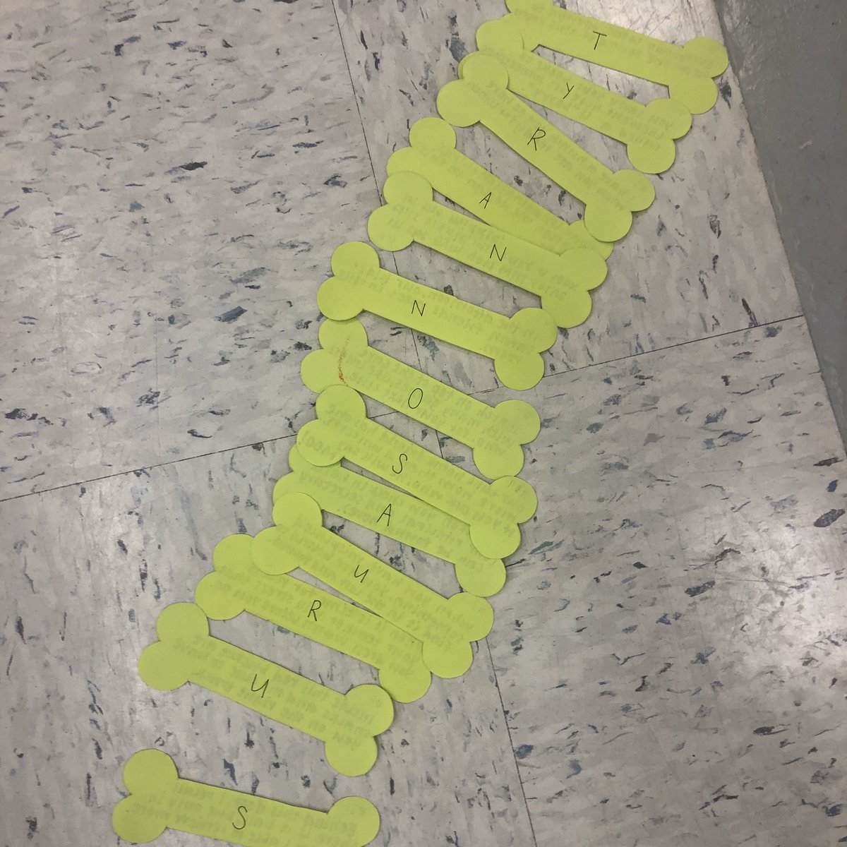 s_d_mclaughlin's tweet photo. As we finish our dinosaur theme for the month, our KS friends raced to complete a scavenger hunt. After finding the clues around the school they were challenged to spell the word “Tyrannosaurus.” 🦖🤯 @Mill_Creek_ISD @ISDKidsSafari @taylor_ancell @BrittanyCaspe17 #isdstrong https://t.co/BprWzqe6iy