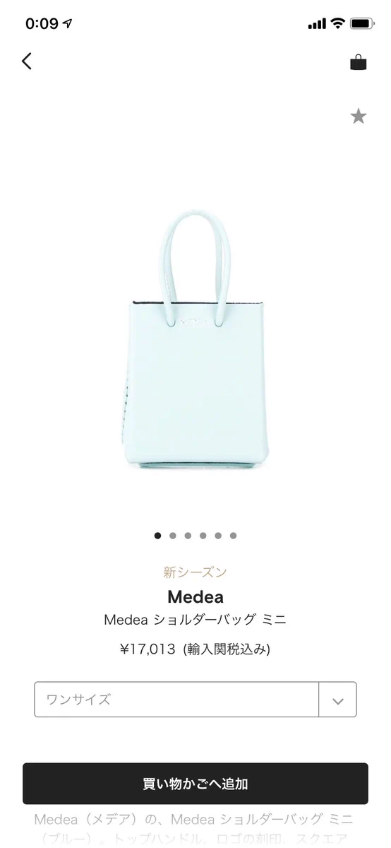 素敵なショルダーバッグ発見！と思って見ていたらそのサイズ感はなぜｗｗ