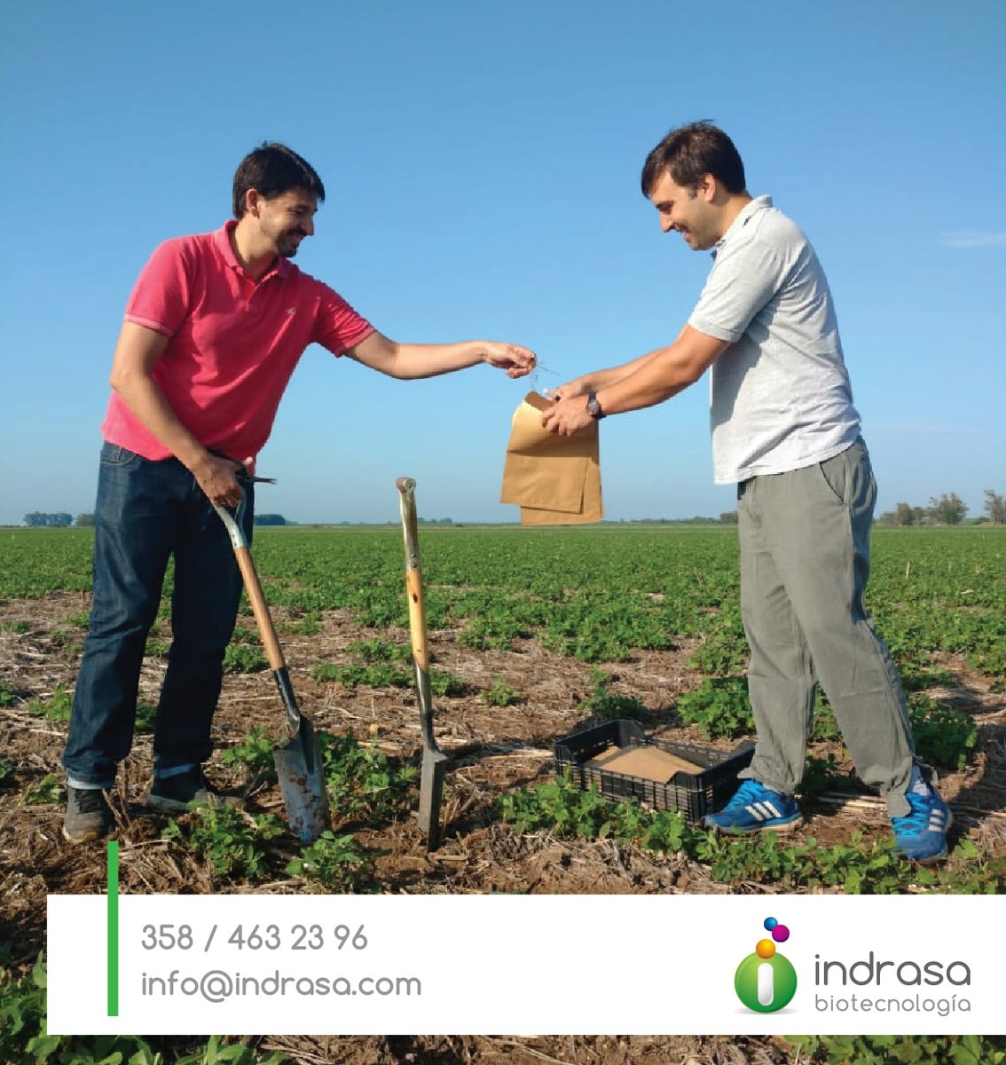 indrasabiotec tweet picture